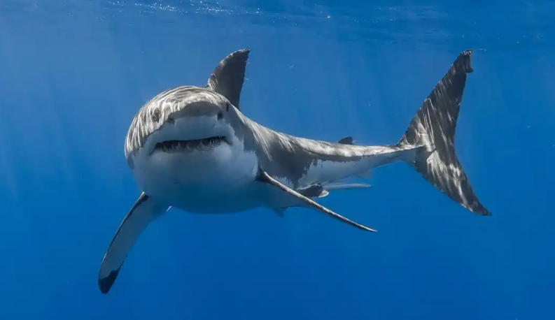 中國企業網上貿易公司輪播圖2